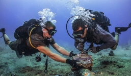 Tuyến cáp quang biển lại gặp sự cố, tốc độ truy cập Internet bị ảnh hưởng 