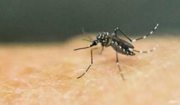 Phát hiện ca bệnh nhiễm virus Zika đầu tiên tại Việt Nam trong năm 2020 