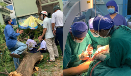 Hai học sinh bị thương nặng trong vụ cây phượng bật gốc đã hồi tỉnh 