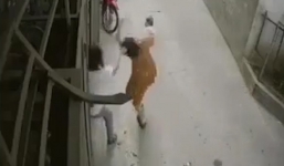 Đang bế con, người vợ bị chồng giật tóc hành hung khiến cháu bé rơi đập đầu xuống đất