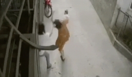 Công an thông tin chính thức vụ việc người vợ bị chồng giật tóc hành hung 