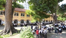 Trường học tại TP.HCM 'sốc' vì chi phí chặt tỉa cây xanh lên tới hơn 200 triệu đồng