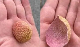 Nhặt được vỏ quả vải trôi trên sông, người đàn ông hoang mang tột độ 