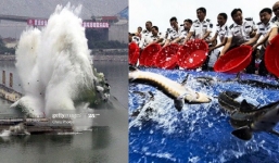 Vì sao người Trung Quốc phải thả 10.000 con cá sau khi hoàn thành đập Tam Hiệp?