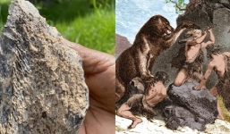 Công cụ 1,4 triệu năm tuổi hé lộ phần lịch sử chưa từng biết về loài người