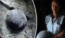 Vách đá 'đẻ trứng' đúng chu kì 30 năm 1 lần làm giới khoa học đến xem ai cũng bối rối 