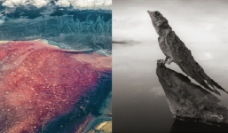 Giải mã bí ẩn hồ nước màu đỏ như máu, sinh vật rơi vào lập tức 'hóa đá'