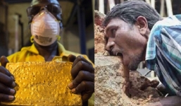 Đất nước ngập trong 'biển vàng' nhưng người dân vẫn chịu cảnh nghèo đói 