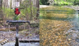 Dòng suối cải tử hoàn sinh, đưa người từ cõi chết trở về