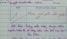 Học sinh lớp 3 viết bài văn tả về công việc bố mẹ khiến cô giáo lập tức phải mời phụ huynh