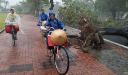 Bão số 5 đổ bộ gây nhiều thiệt hại tại các tỉnh miền Trung