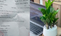 Bé 5 tuổi nhập viện vì cắn phải lá cây kim tiền: Cảnh báo 6 loại cây chứa chất độc nhưng nhiều nhà vẫn trồng