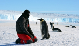 COVID-19 đã lây lan đến cả Nam Cực: Không một châu lục nào trên thế giới an toàn trước đại dịch