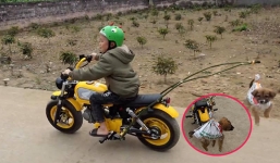 Buộc chó lủng lẳng vào thanh tre rồi kéo lê trên đường, anh em Tam Mao nhận muôn vàn chỉ trích 