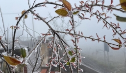 Không khí lạnh mạnh tràn về, Hà Giang và Lào Cai có thể xuất hiện mưa tuyết