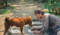 Shiba Nhật không được lòng khán giả Việt, phim 'Cậu Vàng' lỗ nặng phải rút khỏi các phòng chiếu 