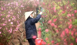 Cập nhật tình hình thời tiết Tết Nguyên đán: Trước Tết có thể mưa dông, mưa đá diện rộng