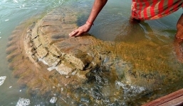 Bí ẩn đền thờ cổ 'đội nước thức dậy' sau 200 năm 'ngủ quên'