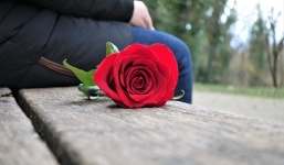 Mùng 1 và ngày rằm cũng tặng hoa cho bạn gái, nam thanh niên bị 'đá' mà không hiểu vì sao