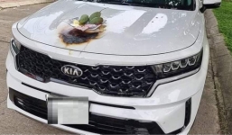 Cúng xe mới đúng sáng mùng 1, chủ xe làm cháy đen luôn cả nắp capo