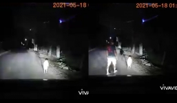 Bé 2 tuổi lang thang 1 mình giữa đêm, tài xế thương tình đi gõ cửa từng nhà tìm bố mẹ