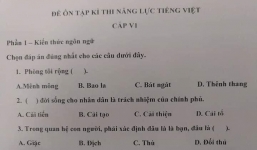 Review chân thực nhất về đề thi tiếng Việt tại Nhật, người Việt làm xong cũng không chắc mình được mấy điểm