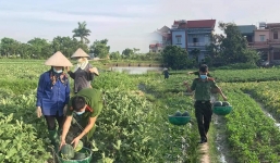 Chiến sĩ công an đội nắng gắt, xuống đồng thu hoạch dưa hấu giúp người dân 