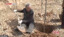 Cụ ông cụt chân bò lên núi trồng 17.000 cây xanh suốt 19 năm