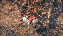 Bị bạn trai nhét vào vali ném bên đường, cô gái trẻ chết ngạt