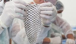 Người chuyển giới đầu tiên trên thế giới có âm đạo bằng da cá rô phi