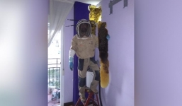 Mất ngủ nhiều đêm, cặp đôi phát hiện chung phòng với 80.000 con ong