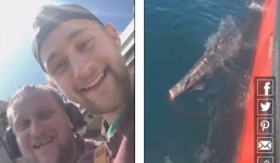 Phẫn nộ ngư dân quay video chặt đuôi cá mập rồi thả về biển