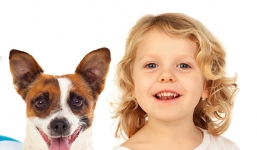 Nhà có trẻ nhỏ, hãy cẩn thận với những giống chó này