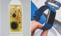 Vật dụng quen thuộc bẩn gấp 8 lần bồn cầu mà nhiều người bỏ qua