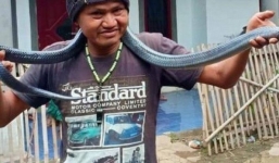 Ông chủ bị trăn dài 3m siết chết trong nhà tắm