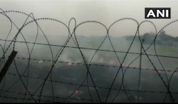 Máy bay đâm phải chim, phi công nhanh trí tránh lao xuống khu dân cư