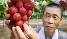 Tin tức thế giới 24h nóng nhất, mới nhất hôm nay ngày 10/7/2019