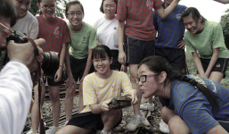 Dân mạng lại tranh cãi nhau 'bức ảnh này có màu gì?'