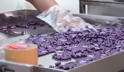 Hai lãnh đạo công ty dược cầm đầu đường dây làm giả thuốc hàng chục tỷ