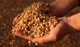 Tin tức thế giới 24h nóng nhất, mới nhất hôm nay ngày 6/8/2019