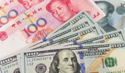 Tỷ giá ngoại tệ hôm nay ngày 7/8/2019: Nhân dân tệ ổn định trở lại