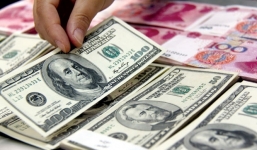 Tỷ giá ngoại tệ ngày 9/8/2019: USD treo cao, NDT ổn định
