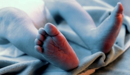 Kỳ diệu: Người mẹ đẻ sinh đôi các con cách nhau hai tháng rưỡi