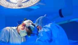 Tim lợn có thể được cấy ghép cho người trong 3 năm tới