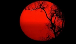 Xoa dịu cháy rừng Amazon, Brazil cấm đốt lửa 2 tháng