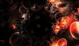 Giới khoa học vô tình tìm ra cách đối phó với HIV