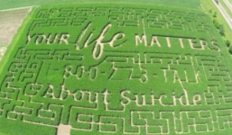 Thế giới cứ 40s lại có một người tự tử