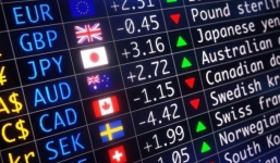 Tỷ giá ngoại tệ hôm nay ngày 11/9/2019: USD tăng trở lại