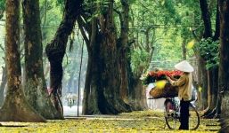 Dự báo thời tiết ngày 22/9/2019: Bắc bộ se lạnh, tiết trời mùa thu đặc trưng