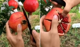 Bổ lựu chuẩn và đẹp trong 25 giây, chỉ nhìn đã thích mê